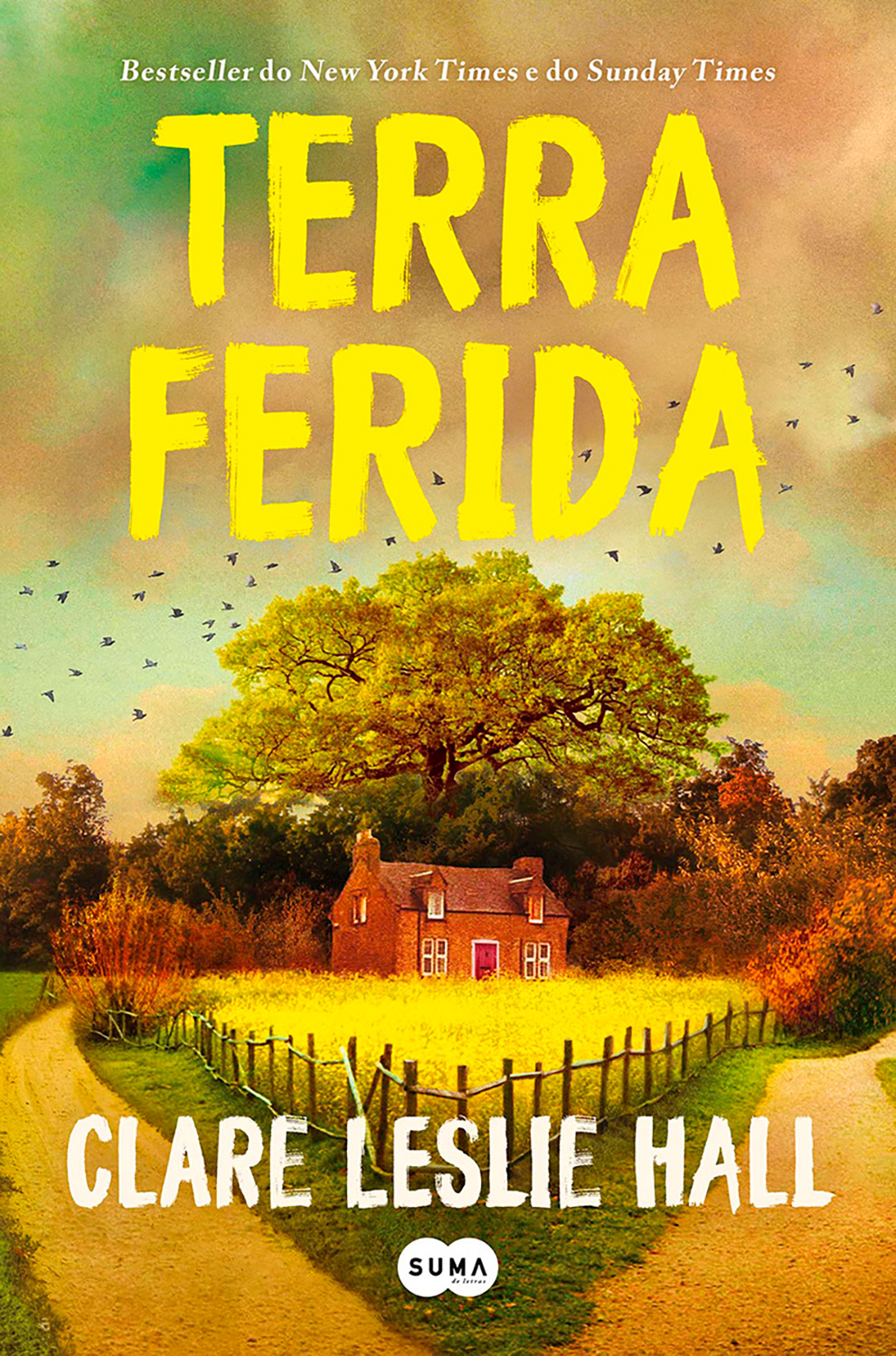 Terra Ferida