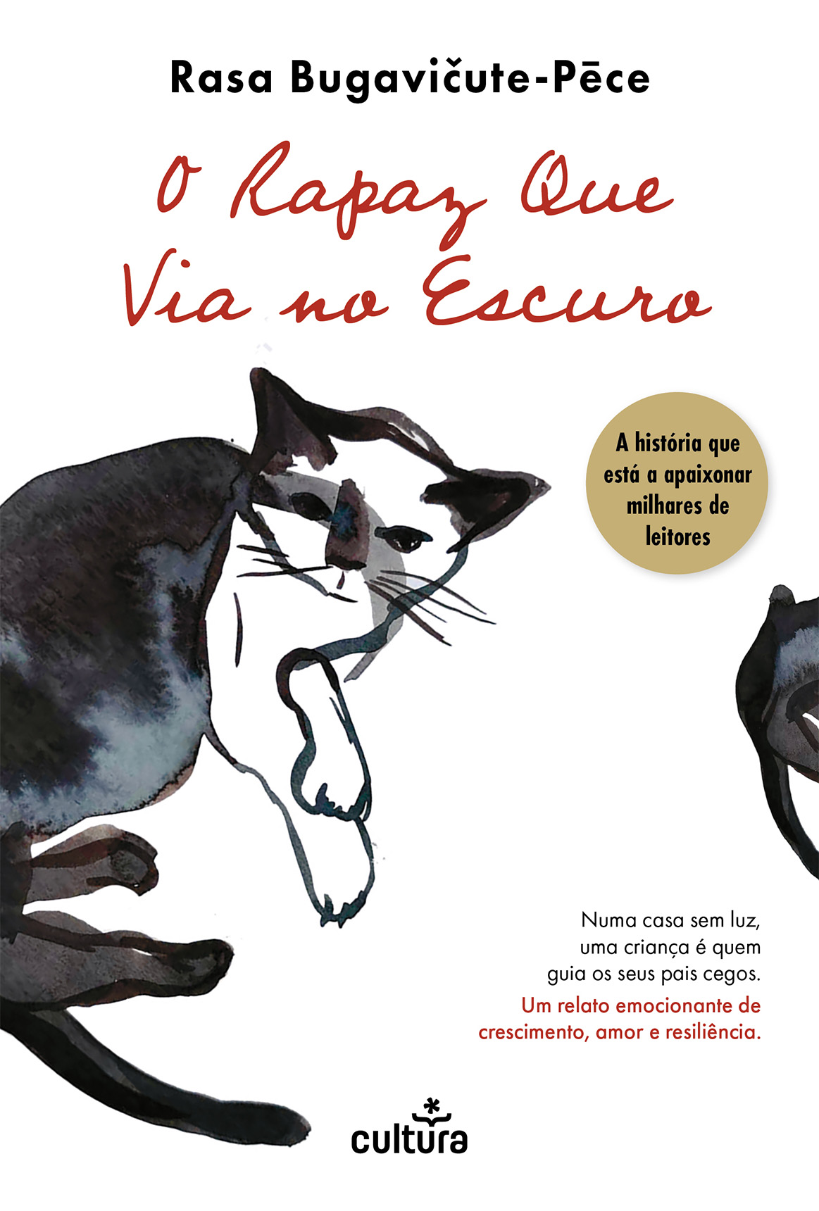 O rapaz que via no escuro