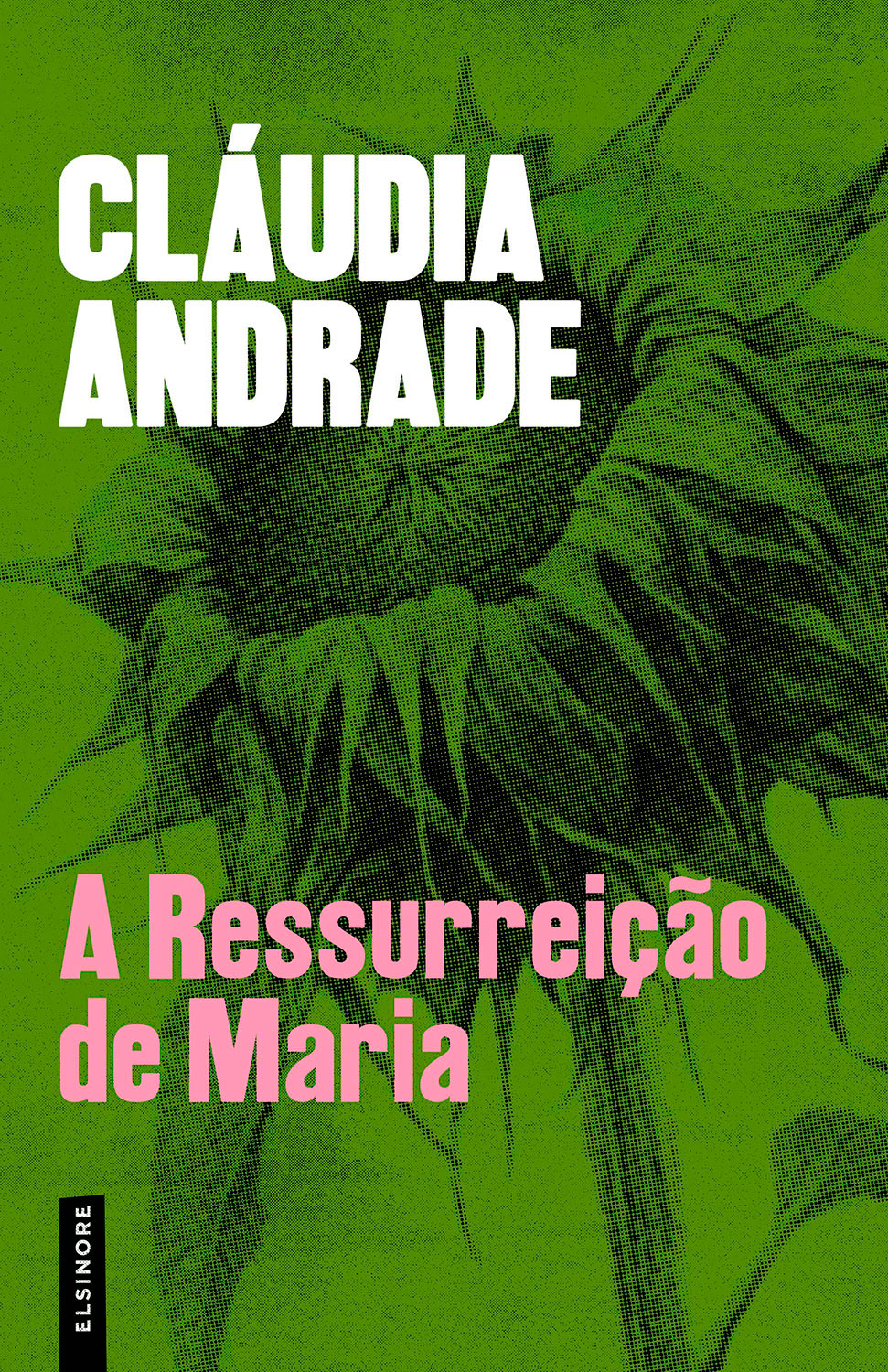A Ressurreição de Maria