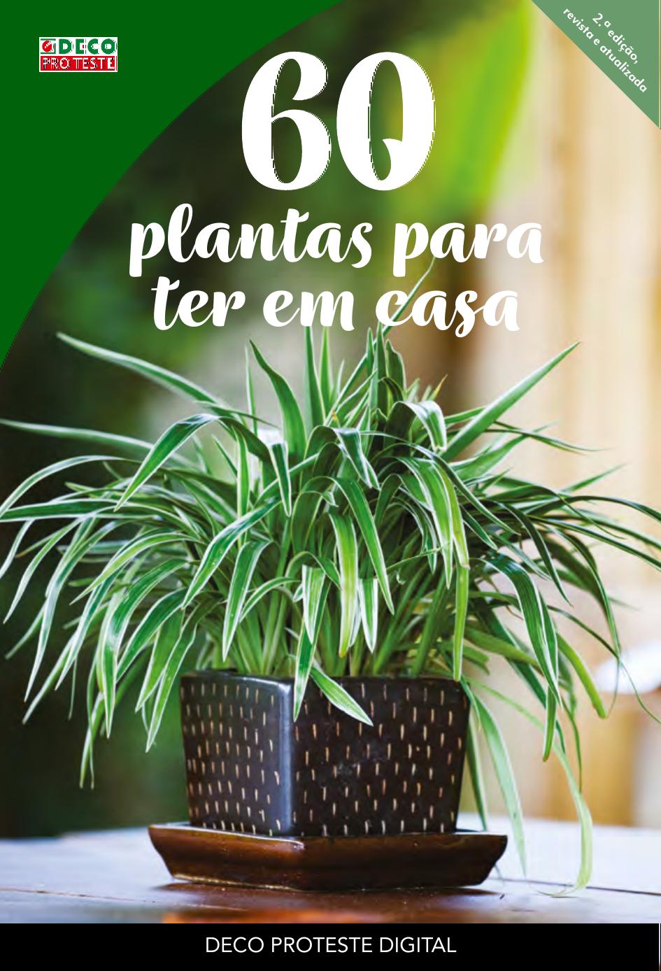 60 plantas para ter em casa-document 5899749592420849723