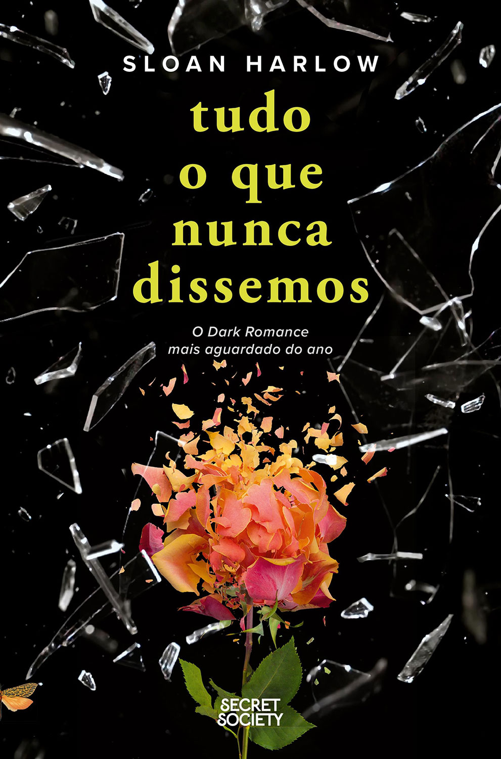 Tudo o que Nunca Dissemos