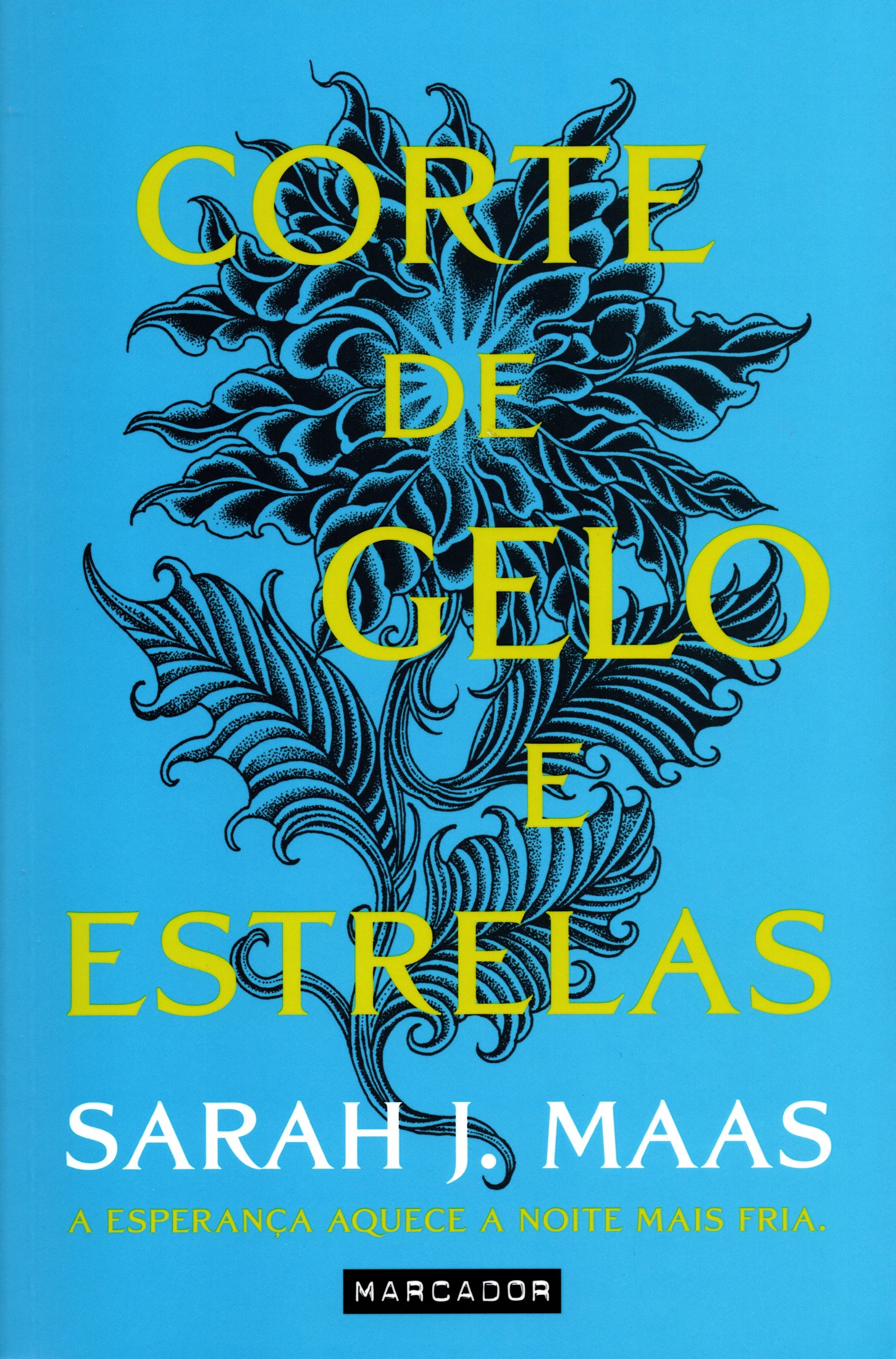 Corte de Rosas e Espinhos 3.5 - Corte De Gelo e Estrelas