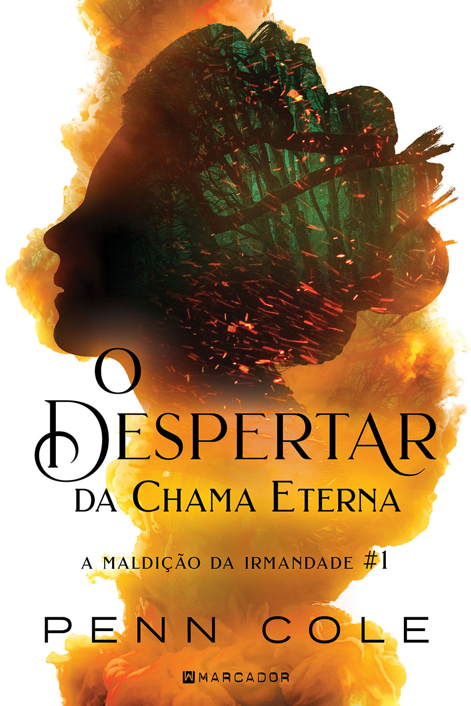 O despertar da chama eterna — A maldição da irmandade